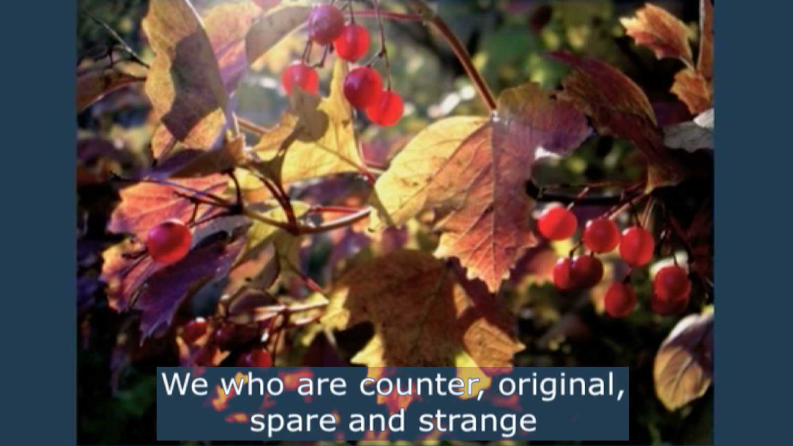 Something About Us
